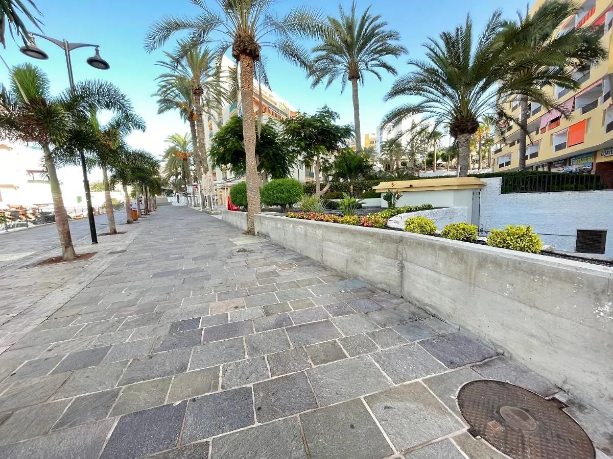 Guayero Lovely Home - Los Cristianos Los Cristianos  Apartment